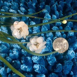 Beautiful Peach Colored Large Flower Earrings